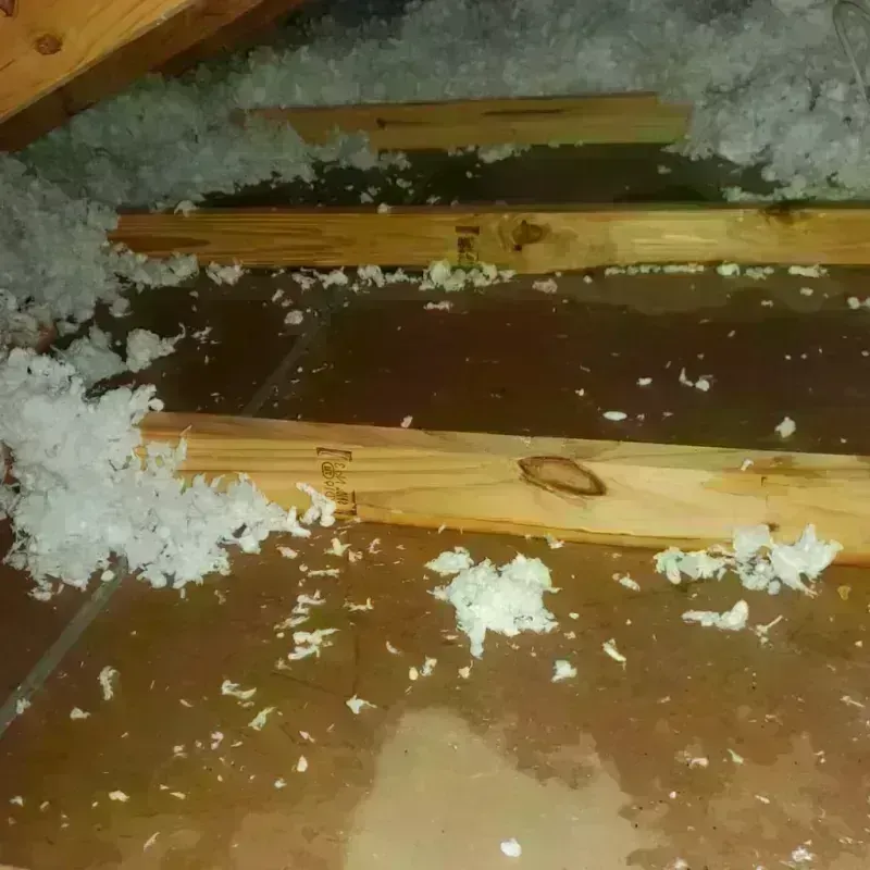 Attic Water Damage in Gladewater, TX