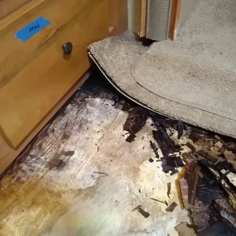 Wood Floor Water Damage in Gladewater, TX